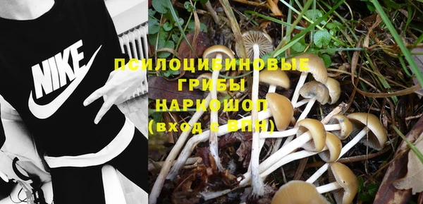 первитин Лиски