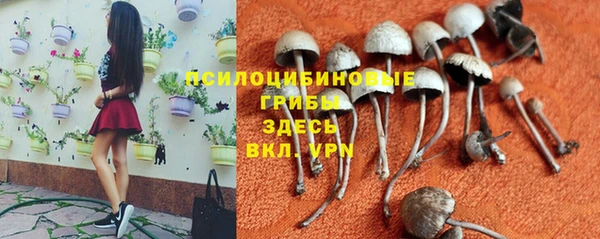 первитин Лиски
