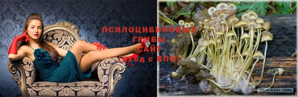марки nbome Лагань