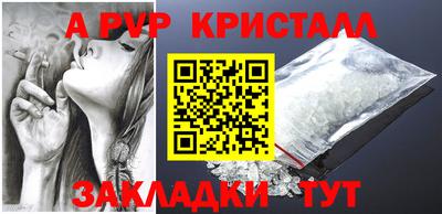 шишки Аргун