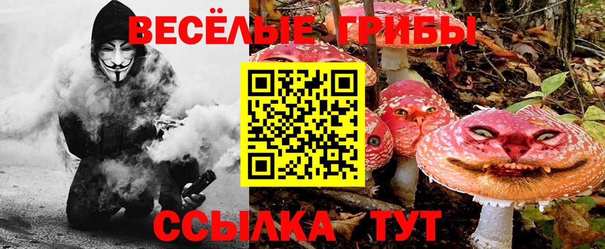 Псилоцибиновые грибы прущие грибы  Вход с VPN  Березники 