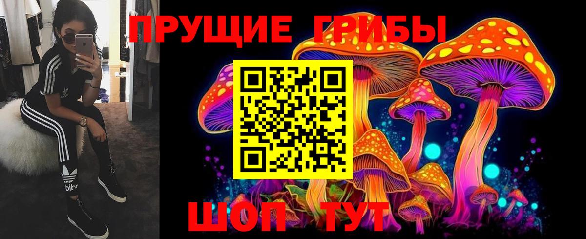 Галлюциногенные грибы Magic Shrooms  Березники 